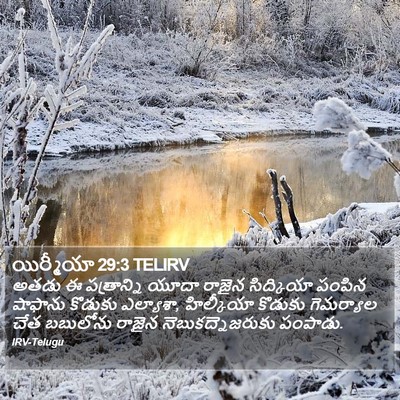 యిర్మీయా 29:3 TELIRV Bible Verse Image