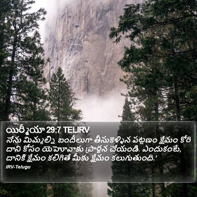 యిర్మీయా 29:7 TELIRV Bible Verse Image