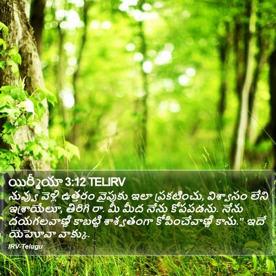 యిర్మీయా 3:12 TELIRV Bible Verse Image
