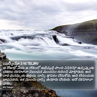 యిర్మీయా 3:16 TELIRV Bible Verse Image