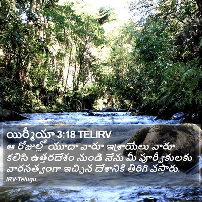 యిర్మీయా 3:18 TELIRV Bible Verse Image