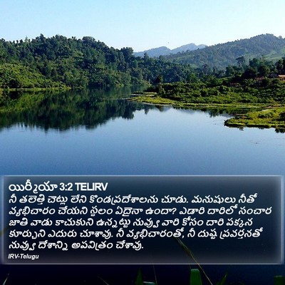 యిర్మీయా 3:2 TELIRV Bible Verse Image