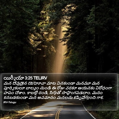 యిర్మీయా 3:25 TELIRV Bible Verse Image