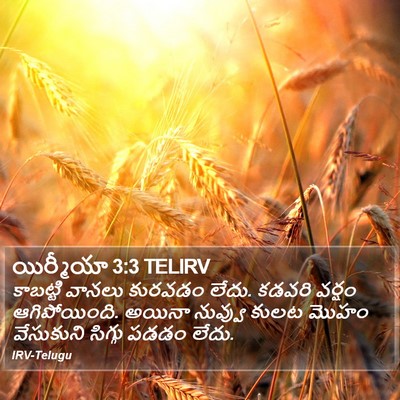 యిర్మీయా 3:3 TELIRV Bible Verse Image
