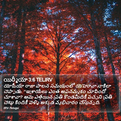 యిర్మీయా 3:6 TELIRV Bible Verse Image