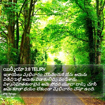 యిర్మీయా 3:8 TELIRV Bible Verse Image