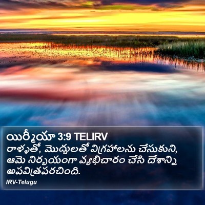 యిర్మీయా 3:9 TELIRV Bible Verse Image