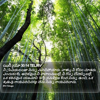యిర్మీయా 30:14 TELIRV Bible Verse Image