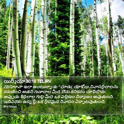 యిర్మీయా 30:18 TELIRV Bible Verse Image
