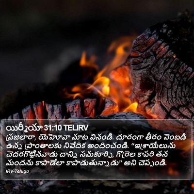 యిర్మీయా 31:10 TELIRV Bible Verse Image