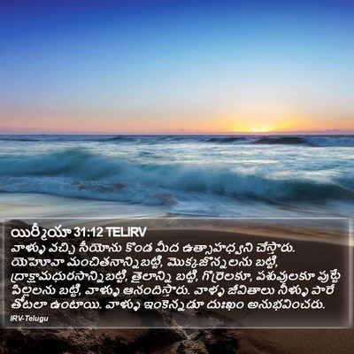 యిర్మీయా 31:12 TELIRV Bible Verse Image