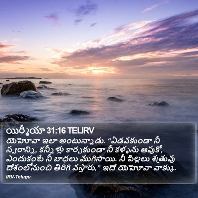 యిర్మీయా 31:16 TELIRV Bible Verse Image