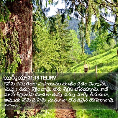 యిర్మీయా 31:18 TELIRV Bible Verse Image