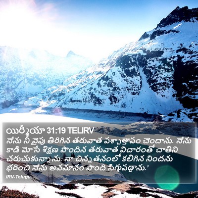 యిర్మీయా 31:19 TELIRV Bible Verse Image