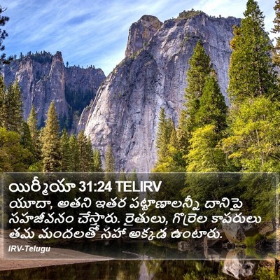 యిర్మీయా 31:24 TELIRV Bible Verse Image