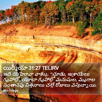 యిర్మీయా 31:27 TELIRV Bible Verse Image
