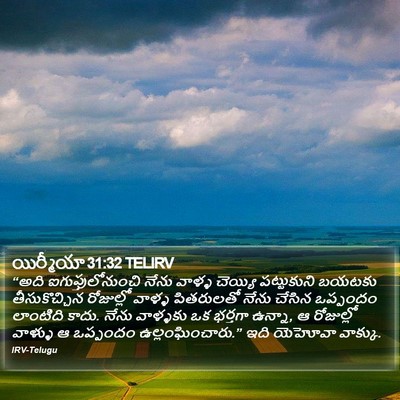 యిర్మీయా 31:32 TELIRV Bible Verse Image
