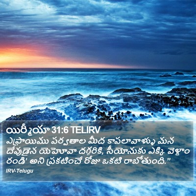 యిర్మీయా 31:6 TELIRV Bible Verse Image