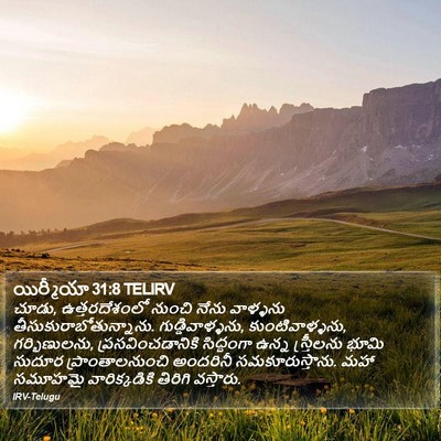 యిర్మీయా 31:8 TELIRV Bible Verse Image