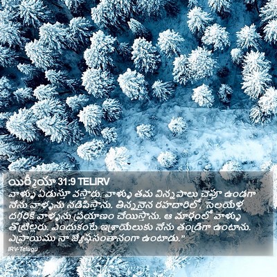 యిర్మీయా 31:9 TELIRV Bible Verse Image
