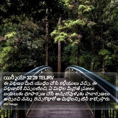 యిర్మీయా 32:29 TELIRV Bible Verse Image