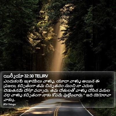 యిర్మీయా 32:30 TELIRV Bible Verse Image