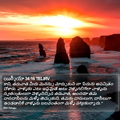 యిర్మీయా 34:16 TELIRV Bible Verse Image