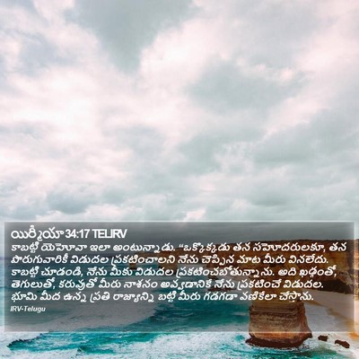 యిర్మీయా 34:17 TELIRV Bible Verse Image