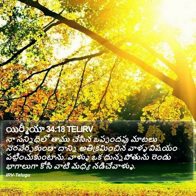 యిర్మీయా 34:18 TELIRV Bible Verse Image