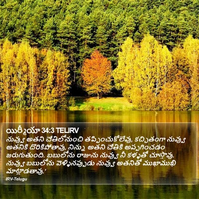 యిర్మీయా 34:3 TELIRV Bible Verse Image