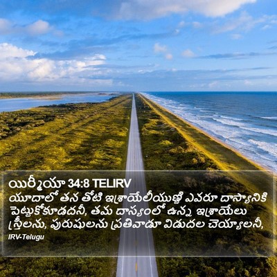 యిర్మీయా 34:8 TELIRV Bible Verse Image