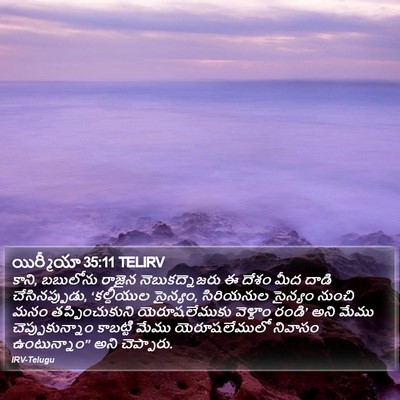యిర్మీయా 35:11 TELIRV Bible Verse Image