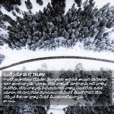 యిర్మీయా 35:17 TELIRV Bible Verse Image