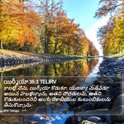 యిర్మీయా 35:3 TELIRV Bible Verse Image