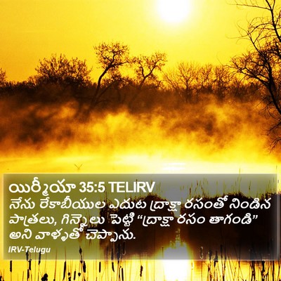 యిర్మీయా 35:5 TELIRV Bible Verse Image