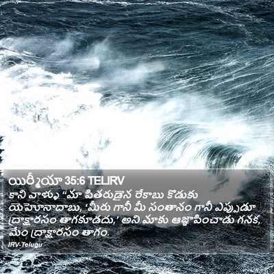 యిర్మీయా 35:6 TELIRV Bible Verse Image