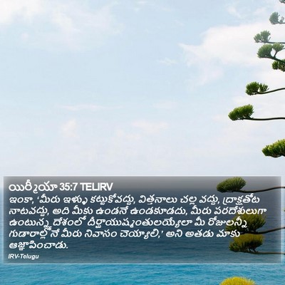 యిర్మీయా 35:7 TELIRV Bible Verse Image