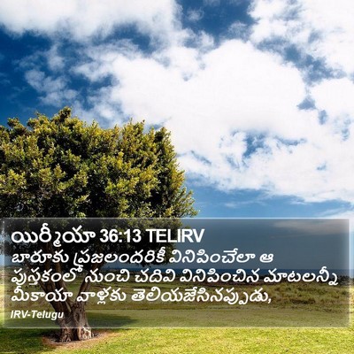 యిర్మీయా 36:13 TELIRV Bible Verse Image