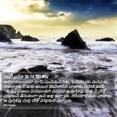 యిర్మీయా 36:14 TELIRV Bible Verse Image