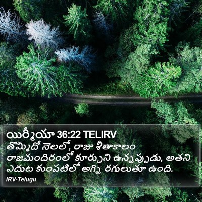 యిర్మీయా 36:22 TELIRV Bible Verse Image
