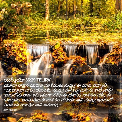 యిర్మీయా 36:29 TELIRV Bible Verse Image
