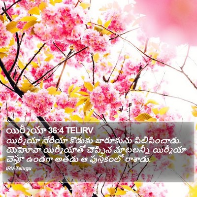 యిర్మీయా 36:4 TELIRV Bible Verse Image