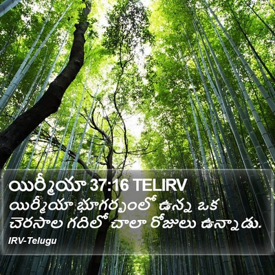 యిర్మీయా 37:16 TELIRV Bible Verse Image