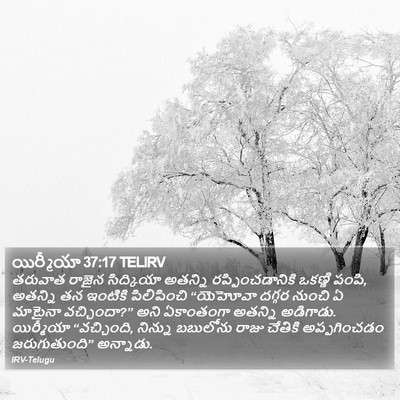యిర్మీయా 37:17 TELIRV Bible Verse Image