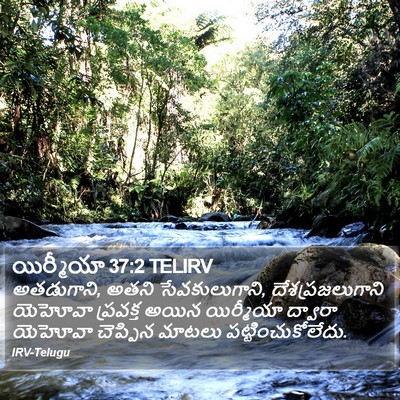 యిర్మీయా 37:2 TELIRV Bible Verse Image