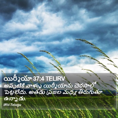 యిర్మీయా 37:4 TELIRV Bible Verse Image