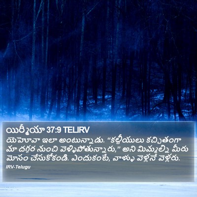 యిర్మీయా 37:9 TELIRV Bible Verse Image