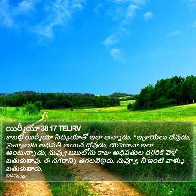 యిర్మీయా 38:17 TELIRV Bible Verse Image
