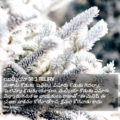 యిర్మీయా 38:3 TELIRV Bible Verse Image