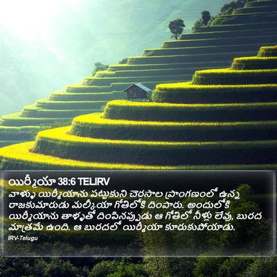 యిర్మీయా 38:6 TELIRV Bible Verse Image